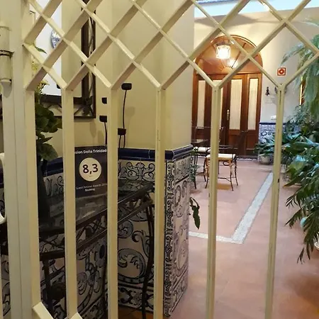Dona Trinidad Sevilla