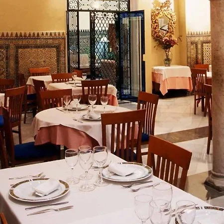 Gravina 51 4*