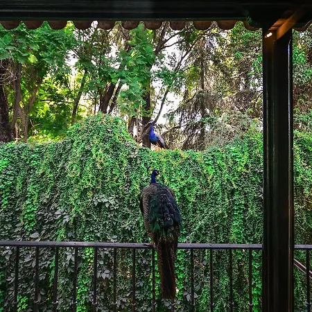 Hotel Legado Alcazar (adults Only)