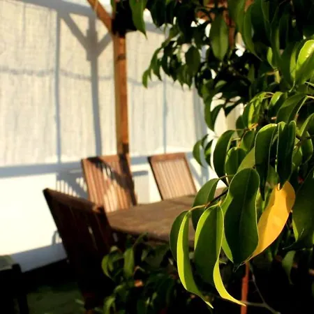 Hotel The Garden Backpacker