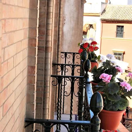 Affittacamere Cicerone De Sevilla