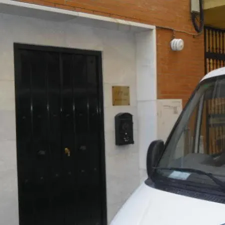 Jentoft Seville