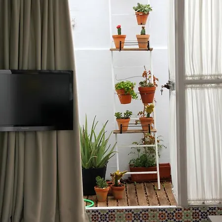 Apartamento Ole - Plaza Nueva Terraza Sevilla
