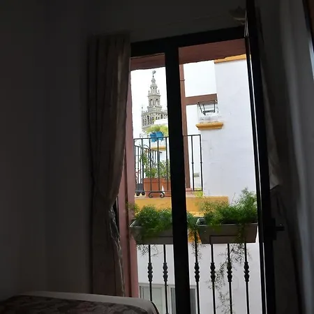 Doña Lina 2*