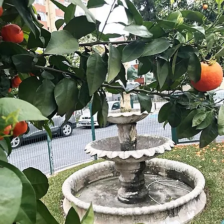 Appartement Gifsa - Parque Alcosa *