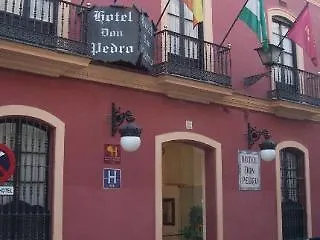 Hotel Casa Palacio Don Pedro