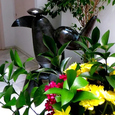 Un Patio Al Sur Hotel