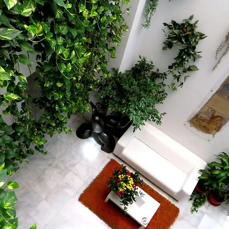 Un Patio Al Sur Hotel Séville