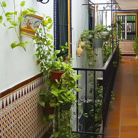 Santa Maria La Blanca 2* Seville