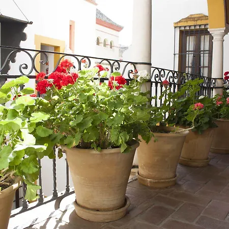 Casa Imperial מלון סביליה