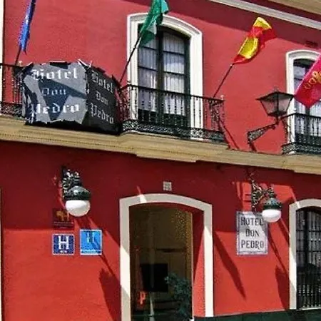 Hotel Casa Palacio Don Pedro