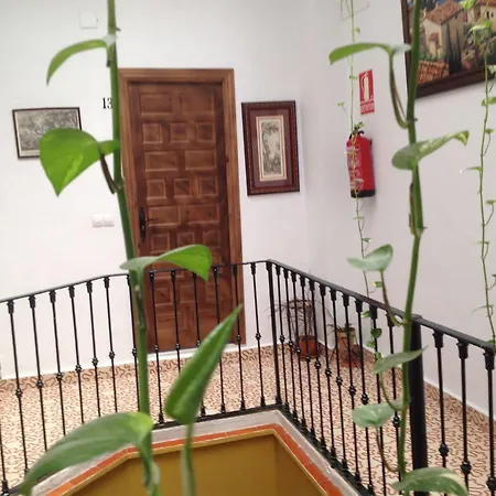 El Rincon De Carlota * Seville