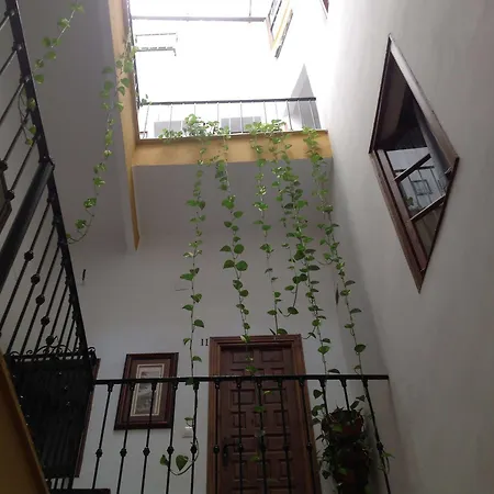 El Rincon De Carlota Guest house