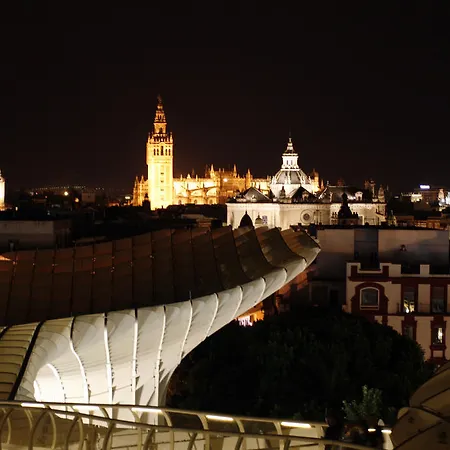 Palace فندق
