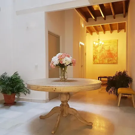 Casas De - Casa Sevillana Harinas26
