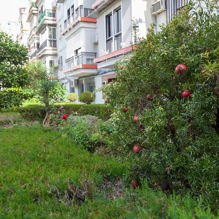 Fantastico Apto Recien 2 Hab-sevilla-triana Apartment *