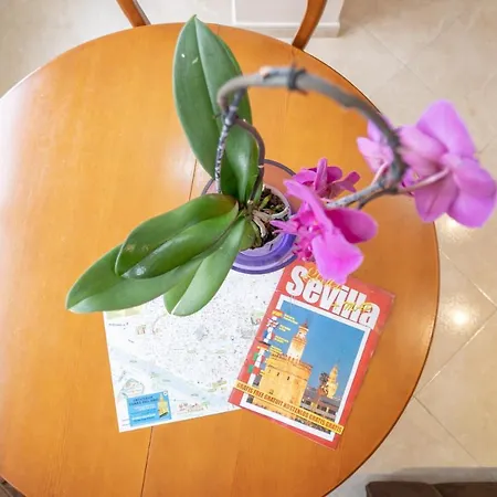 Larra Nervion Apartment *