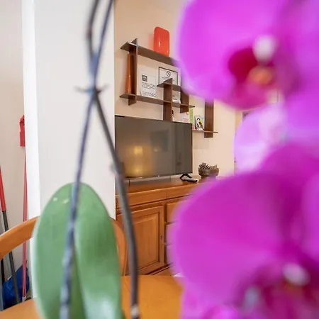 Apartment Larra Nervion *