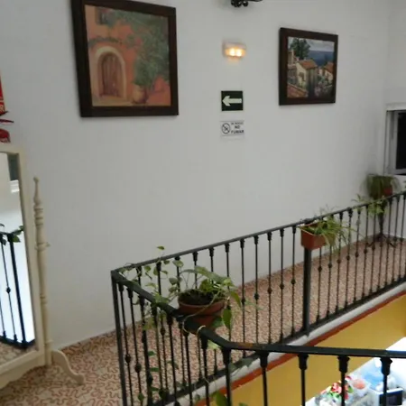 El Rincon De Carlota * Seville