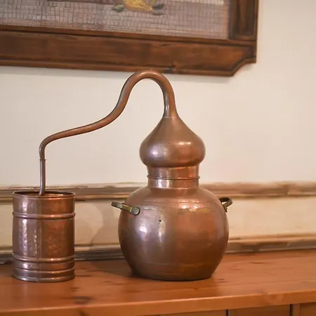 Apartment Tourist House Los Terceros Seville