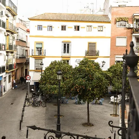 Tourist House Los Terceros Apartment