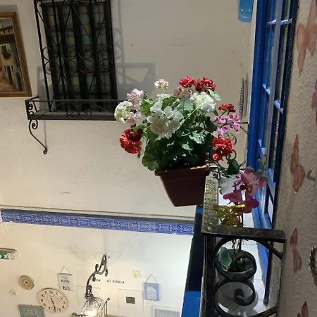 Giraldilla Guest house Seville
