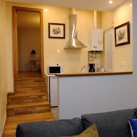 Apartamento Museo De Bellas Artes Apartment *