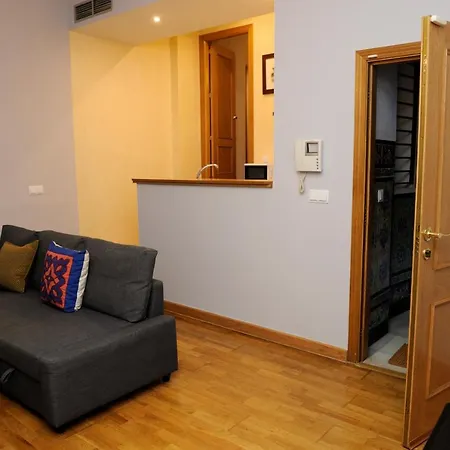 Apartamento Museo De Bellas Artes Apartment