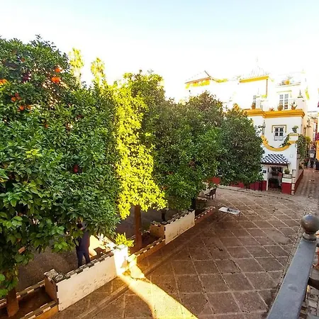 Apartment Plaza De Dona Elvira 8 *