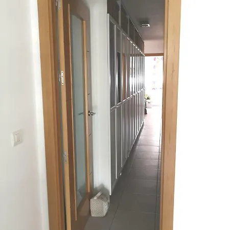 Calle Clemente Hidalgo Apartment *