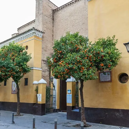 Nuevo Apartamento Casco Antiguo Wifi Ac Apartment