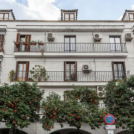 Nuevo Apartamento Casco Antiguo Wifi Ac Apartment