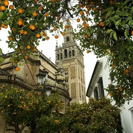 Guest house La Montorena