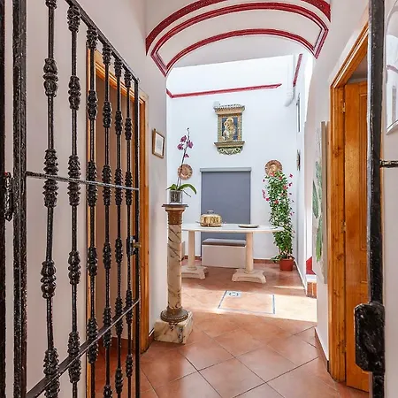 Casa De La Luz -elegante Casco Antiguo 5-hab-11px Apartment Seville