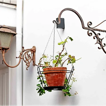 Selecta Venerables Apartamento