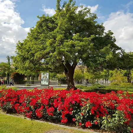 With 2 Bedrooms In Sevilla, With Wifi Apartment Seville