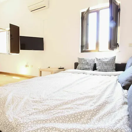Deluxe Parras Apartment