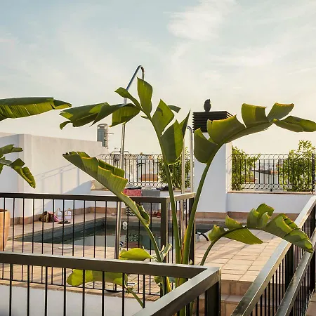 Feria Pool & Luxury Apartment