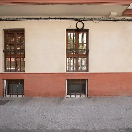 Alohamundi Amador De Rios Seville