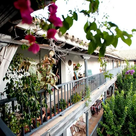 Un Oasis En El Corazon De Apartment Seville