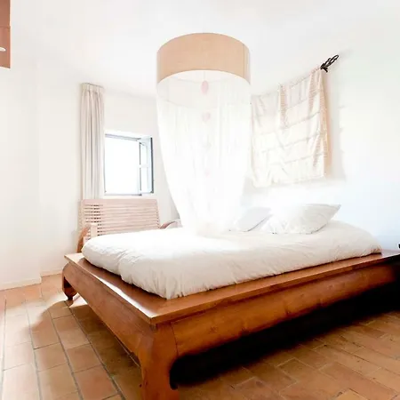 Un Oasis En El Corazon De Apartment