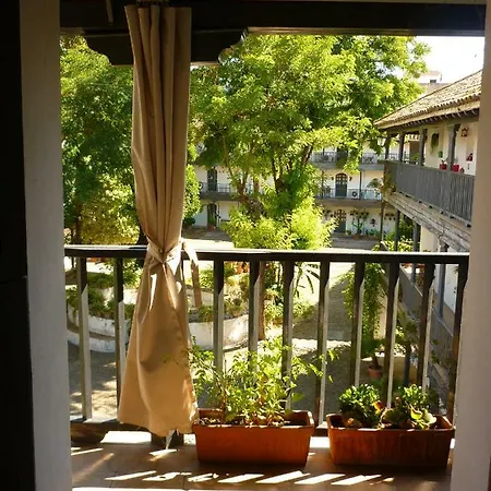 Un Oasis En El Corazon De Seville