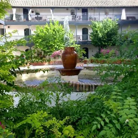 Un Oasis En El Corazon De Seville