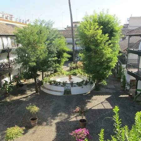 Un Oasis En El Corazon De Apartment