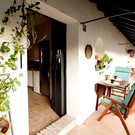 Un Oasis En El Corazon De Seville