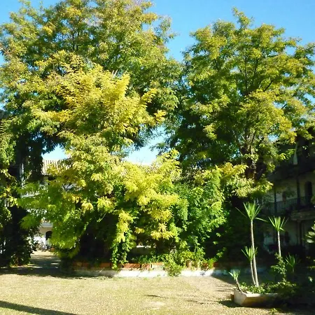 Un Oasis En El Corazon De Apartment