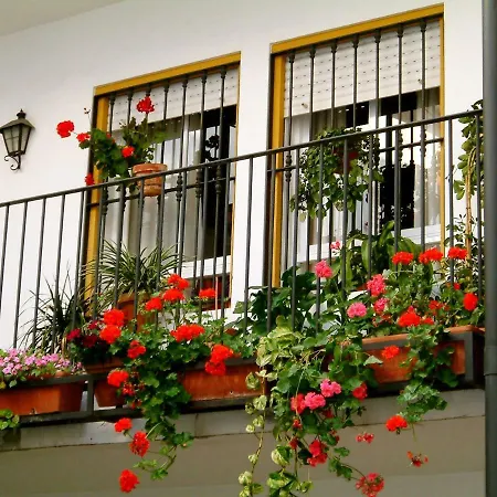 Rentalsevilla San Clemente * Seville