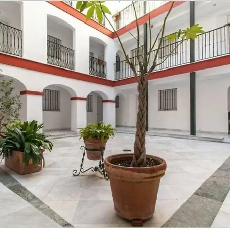 Apartment Atico Duplex *