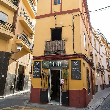 Apartment Divi Centro *