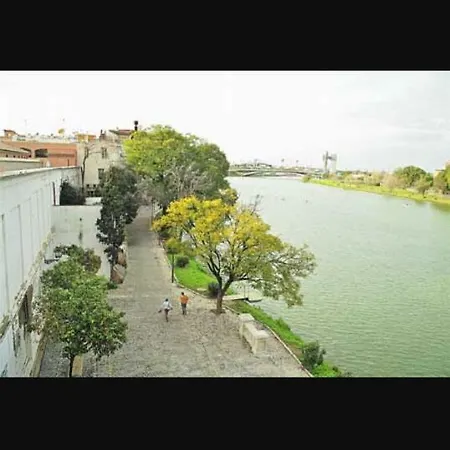 Sweet Triana *